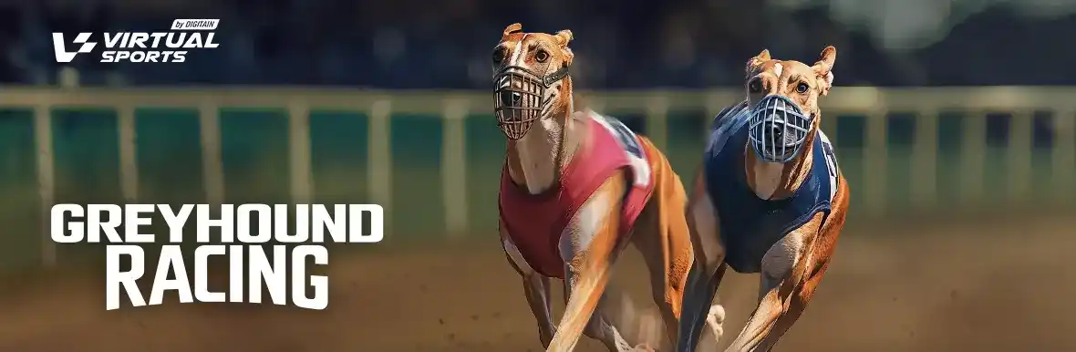 Greyhound Racing