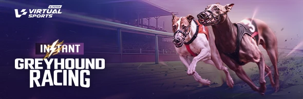 Instant Greyhounds