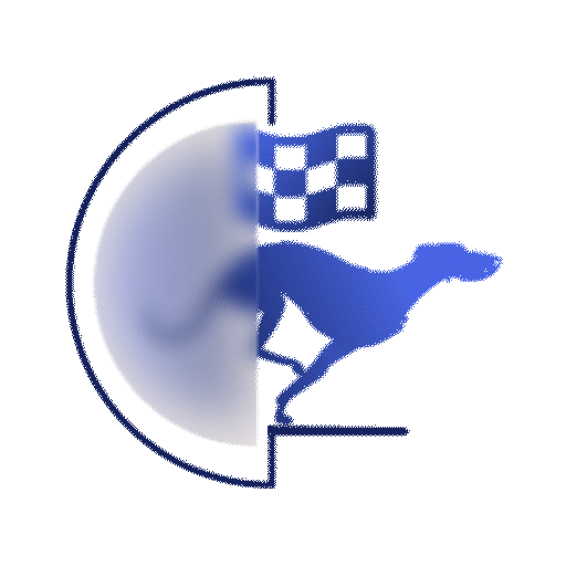 Virtual Sport